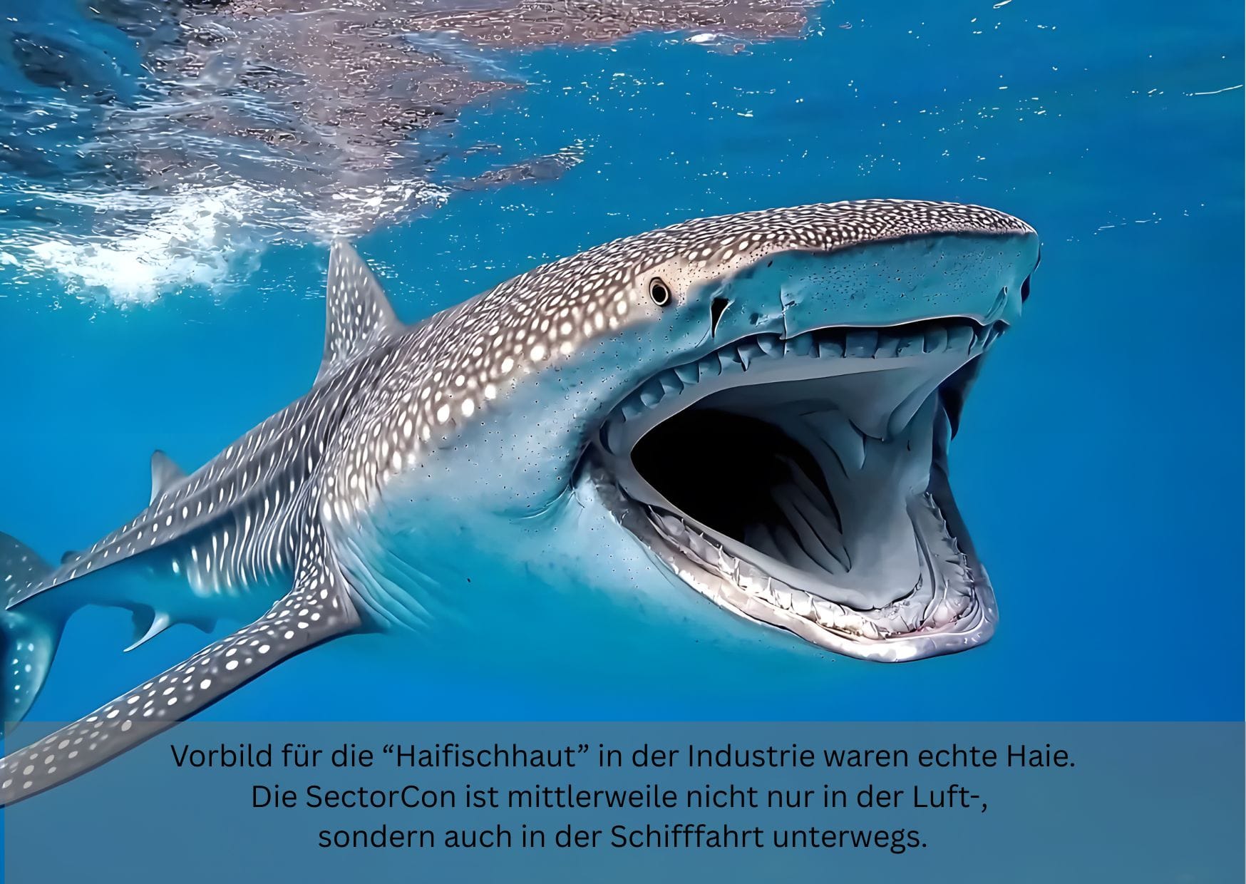 Wir verstehen Strömungen – in der Luft, im Wasser, im Blut